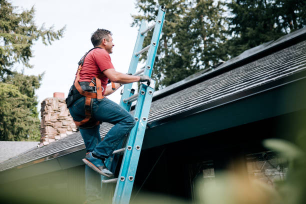 Best Roof Maintenance and Cleaning  in Tuscumbia, AL